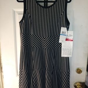 NWT Womens size XL Dress